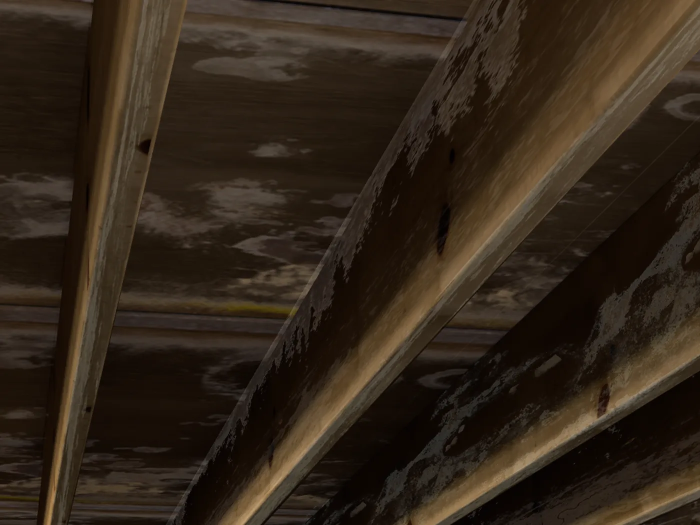 Mold and mildew in a crawlspace