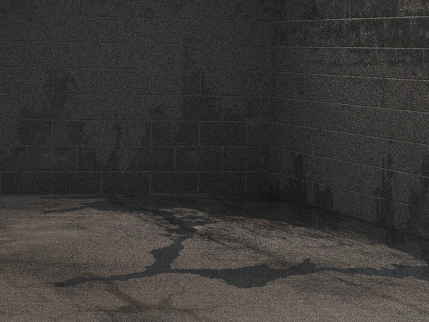 Visible water entering a basement